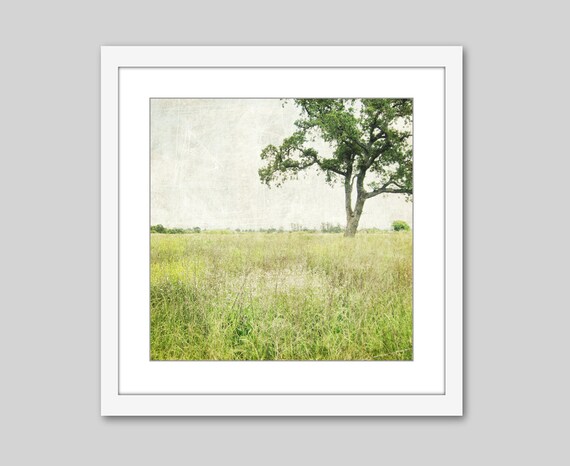 Rustikale strandwandkunst