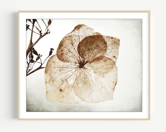 Hydrangea Flower Print, Photography Print, Rustic Farmhouse Decor, Brown Beige Wall Art, Neutral Wall Art