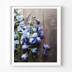 Blue Delphiniums Print, Flower Still Life Photography, Blue Botanical Print, Rustic Farmhouse Decor, Floral Wall Art, 8x10 11x14 Print