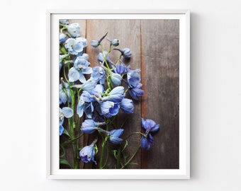 Blue Delphiniums Print, Flower Still Life Photography, Blue Botanical Print, Rustic Farmhouse Decor, Floral Wall Art, 8x10 11x14 Print