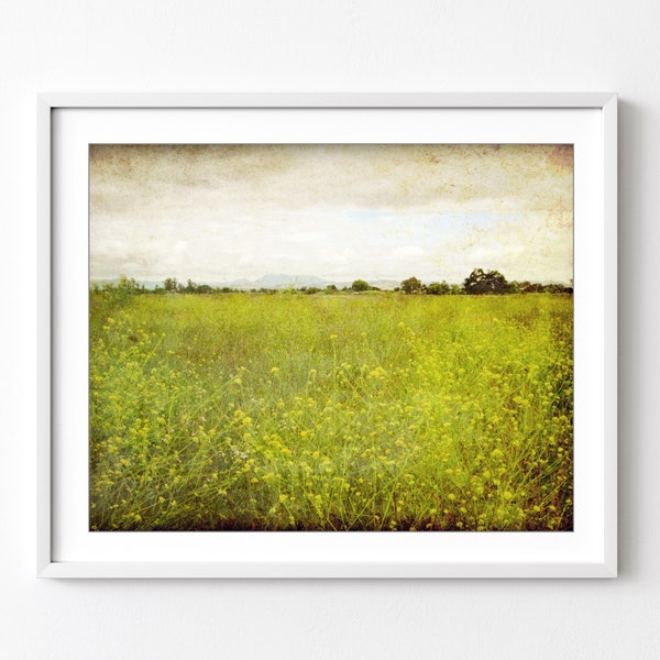 Landscape Photography, Flower Meadow, Rustic Wall Art, Olive Green, Country Wall Art, Nature Photography