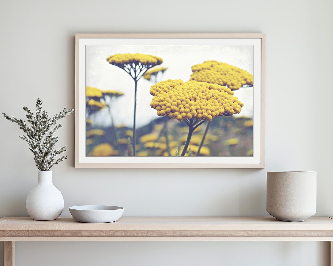 Yarrow Flower Photography Print / Mustard Yellow Botanical Wall Art - Etsy