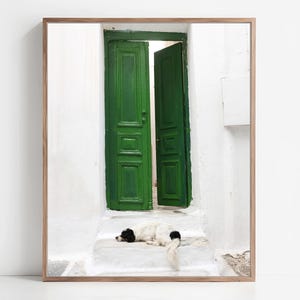 Dog Photograph - Greece Doorway Print, Travel Photography, Animal Photograph, Black White Dog Art Print