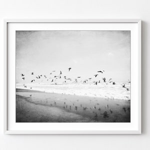 Beach Print, Black and White Photography, Seagulls, Nature photography, Ocean Print, Coastal Wall Art