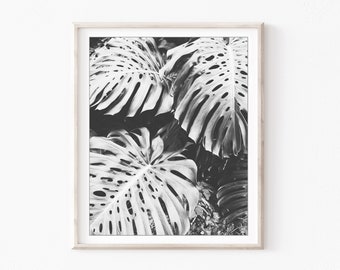 Monstera Leaves Print Black and White Photography Botanical Wall Art, Large Wall Art, Leaves Print, Bedroom Wall Art, 8x10 16x20 Print