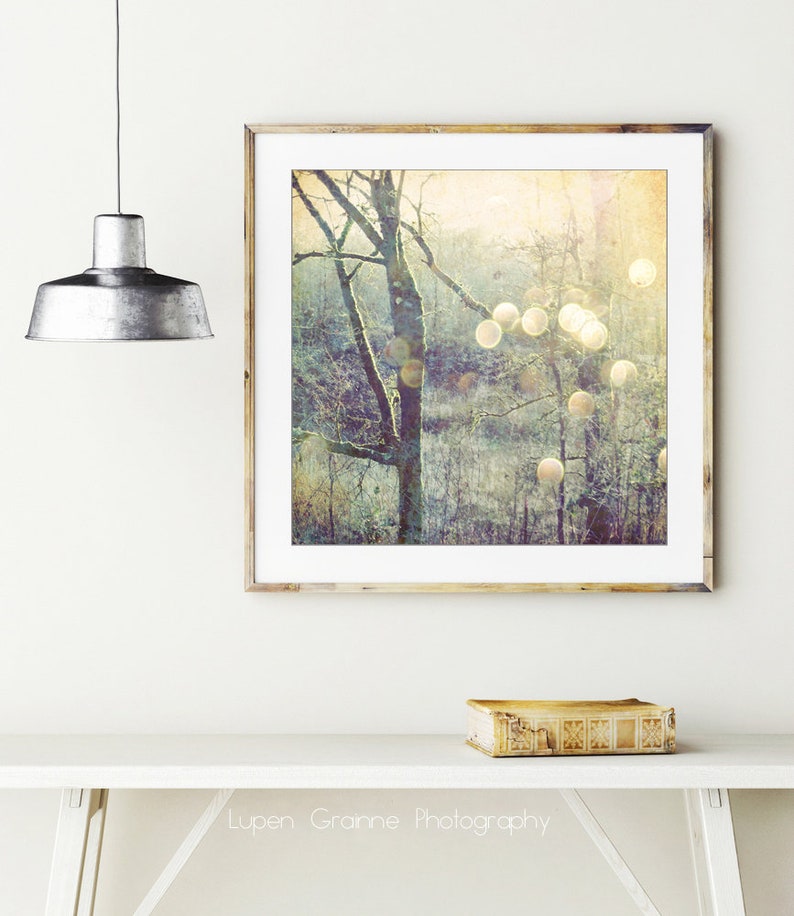 Woodland Photograph Sage Green Olive Decor Dreamy Nature Tree Wall Art Golden Sun Flare Sparkle bokeh Print, 5x5 8x8, Into the Mystic image 2