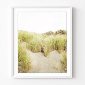 Beach Grass Print, Landscape Photography, Sand Dunes, Coastal Wall Art Decor, Green Beige, 8x10 16x20, Beach Living Room Art
