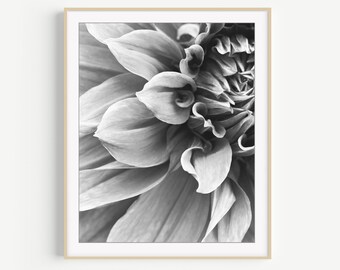 Dahlia Flower Print - Black and White Photography, Flower Photography, Floral Wall Art, 8x10 16x20, Botanical Art, Bedroom Wall Art