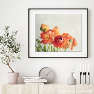 Still Life Photography Ranunculus Flowers Print Floral Wall Art image 7