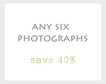 Photography Print Set / Set of 6 Prints / Your Choice / Save 40%