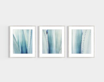 Pale Blue Wall Art, Set of 3 Prints, Agave Leaf Prints, Nature Photography, Botanical Prints, Abstract Nature Wall Art