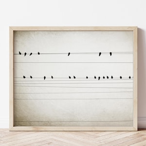 Birds on Wires Photography Print Minimalist Sepia Urban Modern Wall Art Print