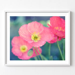 Poppy Flower Print - Botanical Wall Art, Floral Photography, Poppies, 8x10 11x14 Print, Floral Bedroom Wall Art