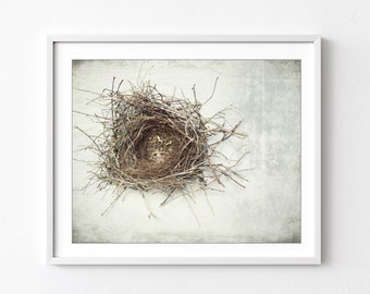 Bird Nest Print - Nature Photography, Rustic Wall Art, Minimal Modern Still Life Photography, Neutral Farmhouse Decor, Gray Brown, Art Print