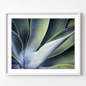 Botanical Photograph, Agave Leaves Print, Succulent Art, Abstract Nature Photography, Jade Emerald Green Wall Art