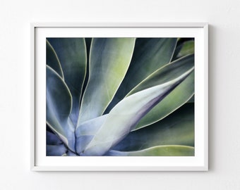 Botanical Photograph, Agave Leaves Print, Succulent Art, Abstract Nature Photography, Jade Emerald Green Wall Art