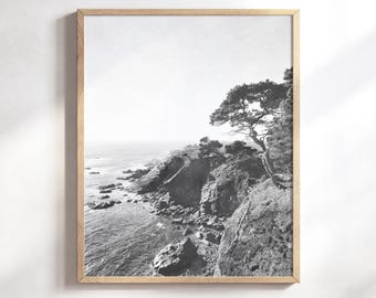 Coastal Cypress Print - Black and White Photography, Northern California, Ocean Print