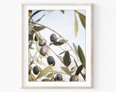 Olive Branch Print - Bota...