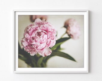 Peony Flower Print, Still Life Photography, Pale Pink Peony Wall Art, Flower Photography, Bedroom Wall Art, 8x10 12x16 16x20 Floral Wall Art