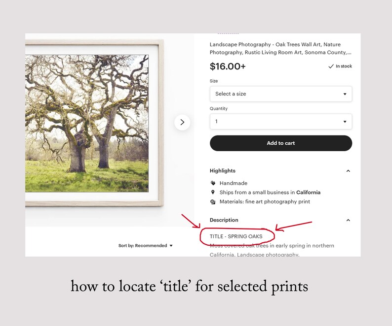 Fine Art Photography Print Sizes 4x4 to Etsy