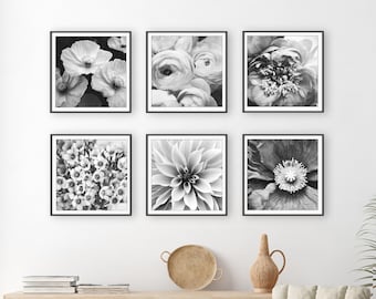 Flower Photography, Set of Six Prints, Black and White Floral Prints, Botanical Gallery Wall, Peony, Poppy, 5x5 8x8 10x10 Prints - Save 40%