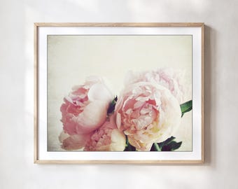 Peony Flower Photograph, Pale Pink Floral Wall Art, Botanical Print, Bedroom Wall Decor