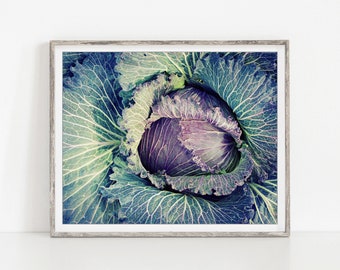 Food Photography, Farmhouse Kitchen Wall Art, Purple Cabbage Print, Organic Vegetable Print, 8x10 5x7, Rustic Dining Room Decor