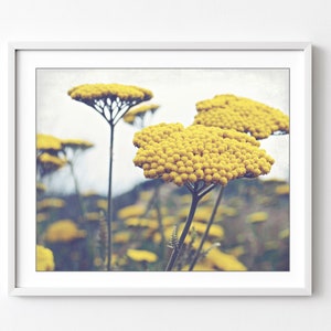 Yarrow Flowers Wall Art Nature Photography Botanical Print, Flower Photography, Yellow Wall Art, Bedroom Floral Wall Art