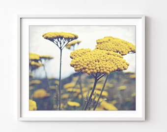 Yarrow Flowers Wall Art Nature Photography Botanical Print, Flower Photography, Yellow Wall Art, Bedroom Floral Wall Art