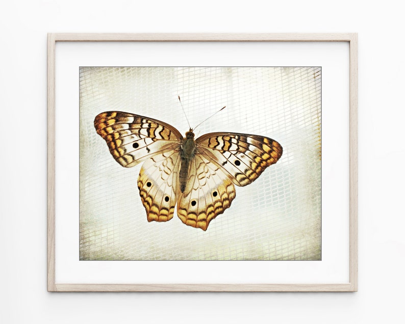 Nature Photography Botanical Prints Set of 4 Prints Etsy