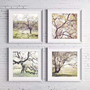 Oak Tree Prints Landscape Photography Set of 4 Prints, Rustic Living Room Decor, Nature Photography, Gallery Wall, 5x5 8x8 Prints image 2