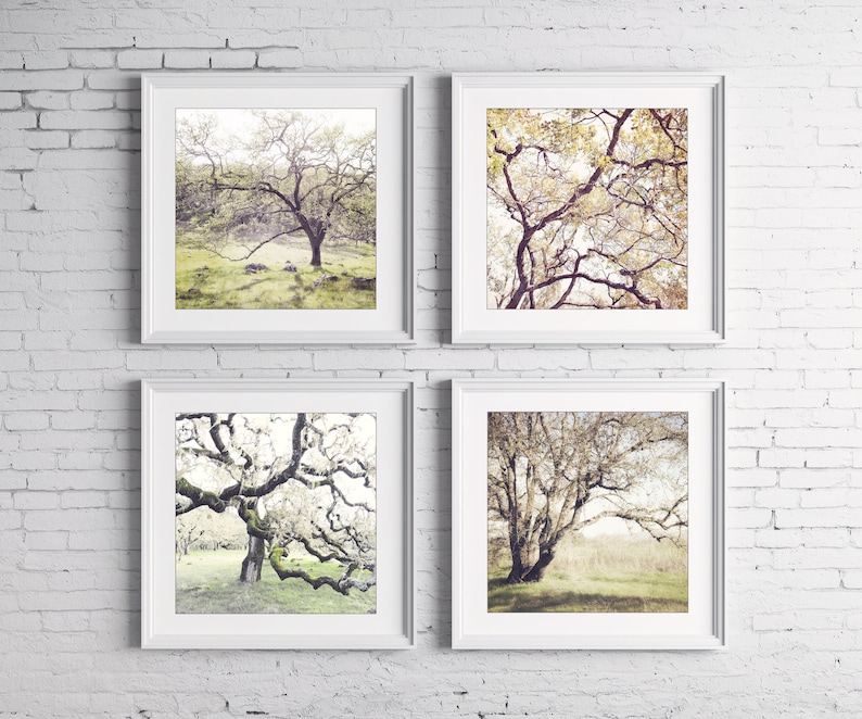 Oak Tree Prints Landscape Photography Set of 4 Prints, Rustic Living Room Decor, Nature Photography, Gallery Wall, 5x5 8x8 Prints image 2