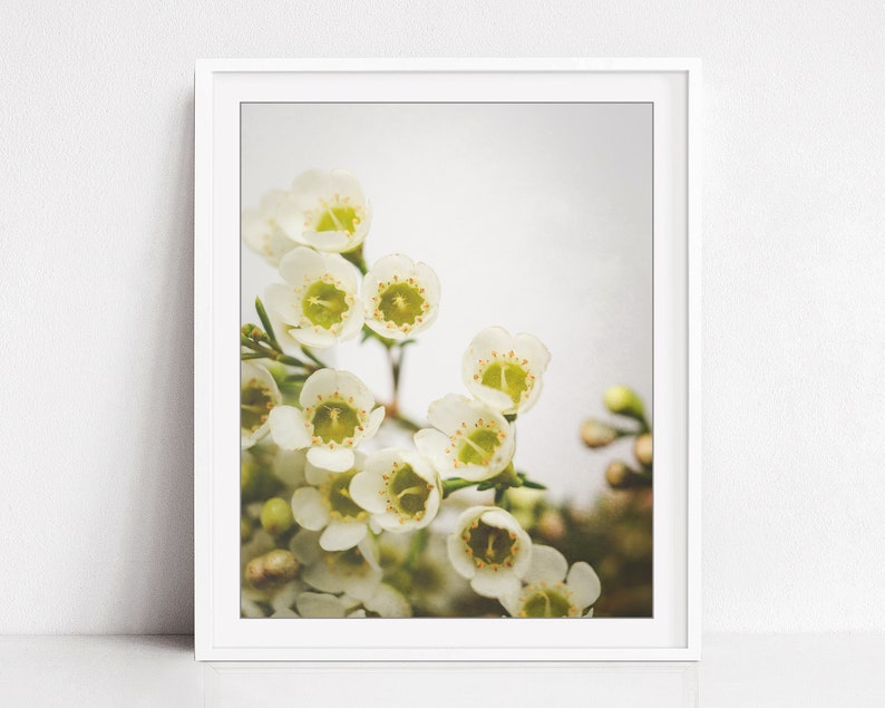 Flower Art Photography White Yellow Wall Art Floral Wall Etsy