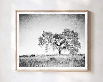 Oak Tree Print - Black and White Art, California Landscape Photography Print, Tree In Meadow Print, Gray Neutral Wall Art Print