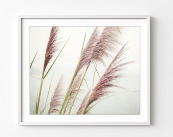 Pampas Grass Print Nature Photography Coastal Wall Art, Beach Grass Print, 8x10 11x14, Pale Pink Decor