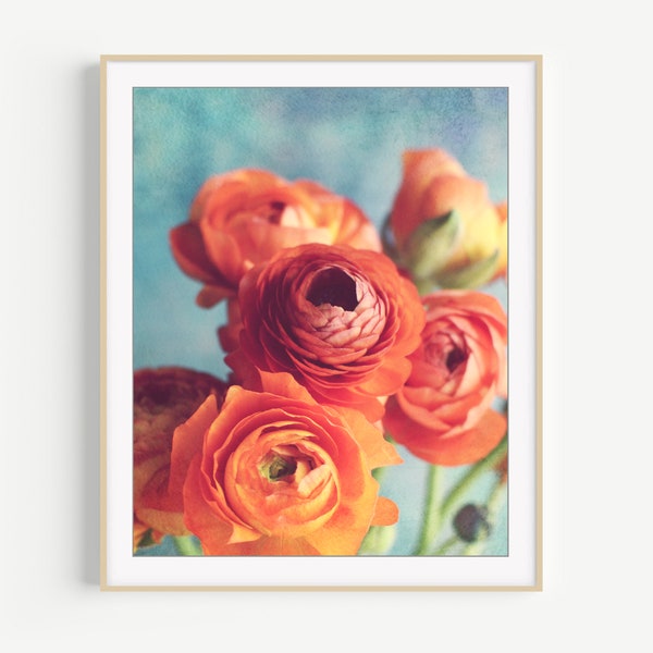 Flower Photography - Botanical Print. Ranunculus Flowers. Colorful. Floral Wall Art. Orange Aqua, Bedroom Wall Art, 8x10 16x20 Print