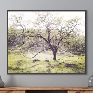 Oak Tree Wall Art - Landscape Photography Print, Pale Olive Green Gray Brown, Woodland Art, Meadow Forest Nature Wall Art