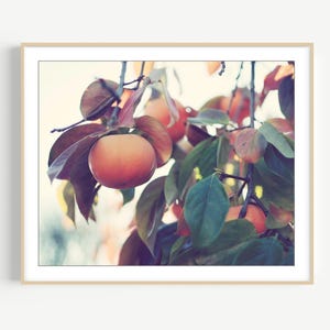 Persimmon Tree Print Botanical Wall Art Fuyu Persimmon Fruit Tree Photograph Orange Rust Green Dining Room Art 8x10 16x20 Print