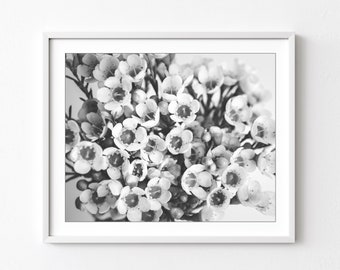 Flower Photography, Black and White Photography, Bouquet Print, Floral Wall Art, Bedroom Decor, Flower Botanical Wall Art