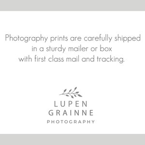 Fine Art Photography Print Sizes 5x5, 8x8, 11x14 up to 30x40 image 3