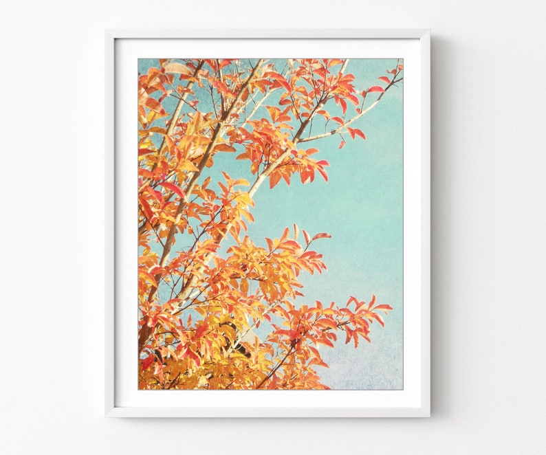 Orange Autumn Leaves Print Botanical Photography Print, Orange Teal Leaves Retro Style Nature Wall Art 8x10 11x14 Print image 1