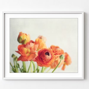 Still Life Photography Ranunculus Flowers Print Floral Wall Art Horizontal Print