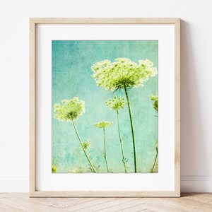 Flower Photography Queen Anne's Lace Print, Floral Aqua Blue Green Wall Art, Nature Photography, 8x10 11x14, Wildflower Botanical Wall Art image 6