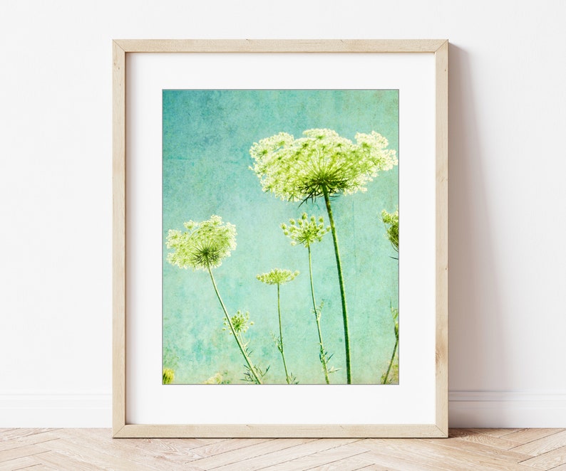 Flower Photography Queen Anne's Lace Print, Floral Aqua Blue Green Wall Art, Nature Photography, 8x10 11x14, Wildflower Botanical Wall Art image 6