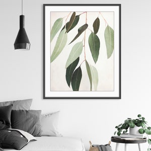 Eucalyptus Print Botanical Wall Art, Sage Green Wall Art, Nature Photography, 8x10 11x14, Modern Rustic Living Room Decor image 2