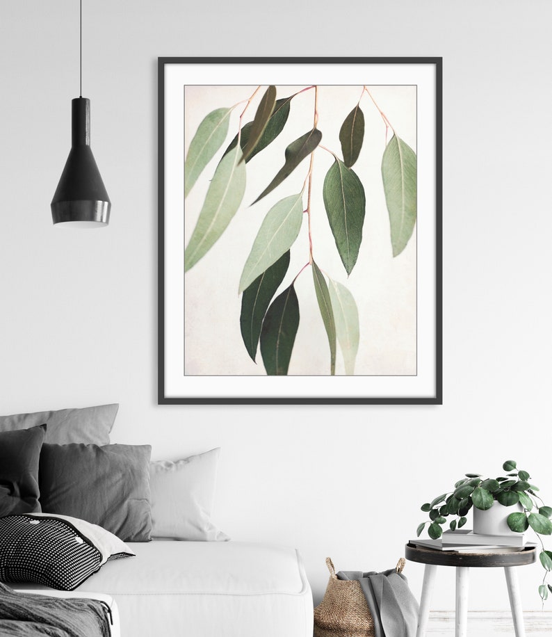 Eucalyptus Print Botanical Wall Art, Sage Green Wall Art, Nature Photography, 8x10 11x14, Modern Rustic Living Room Decor image 2