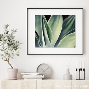 Agave Print, Nature Photography, Sage Green Wall Art, Botanical Print, Desert Southwest Decor, Succulent Wall Art, 8x10 16x20 Print image 4