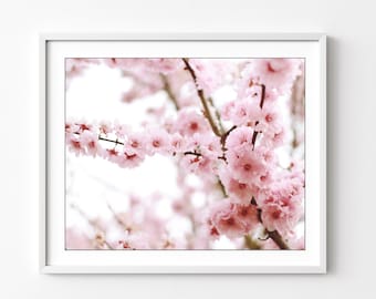 Cherry Blossoms Print - Pink Floral Wall Art, Spring Flower Photography, Flower Art Print, Sakura, Cherry Blossom Branch, 8x10 11x14Print