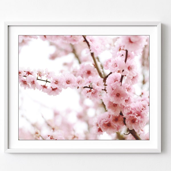 Cherry Blossoms Print - Pink Floral Wall Art, Spring Flower Photography, Flower Art Print, Sakura, Cherry Blossom Branch, 8x10 11x14Print