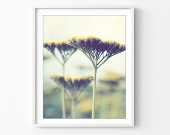 Yarrow Flowers Print, Nature Photography, Sage Green, Mustard Yellow Wall Art, Floral Wall Art, Flower Photography